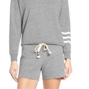 Sol Angeles Gray "Sol Essential" Shorts New Size Small